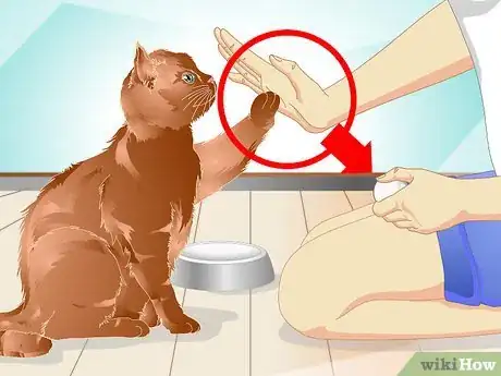 Image intitulée Teach a Cat to "High Five" Step 18